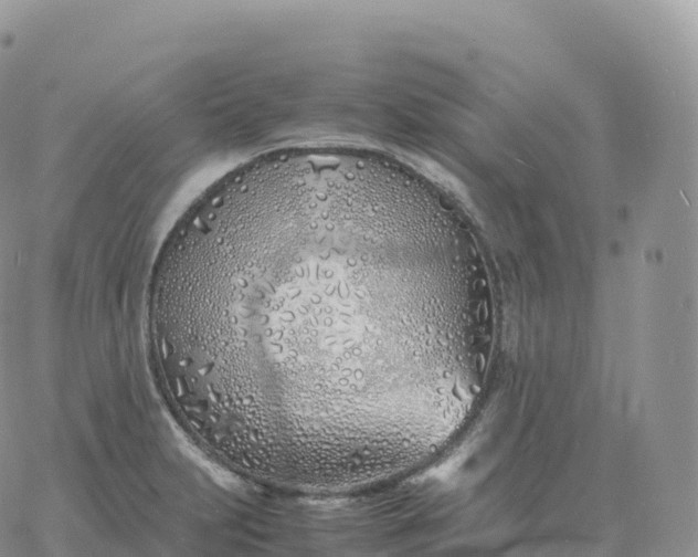 X0000060771231200511241745