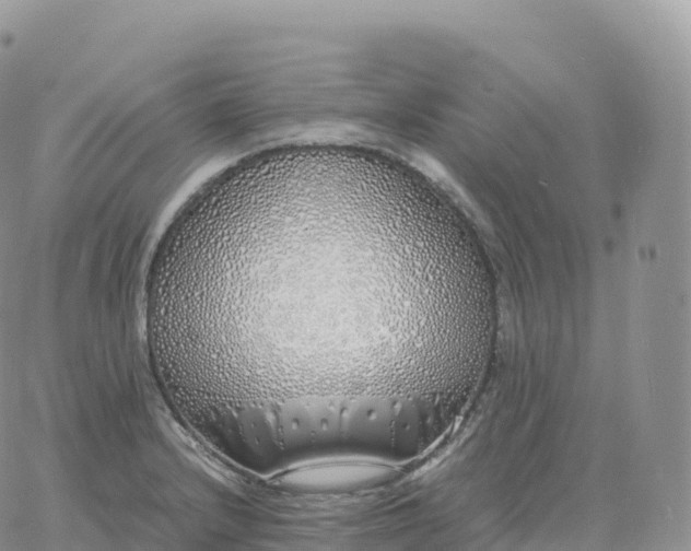 X0000060771232200511241745