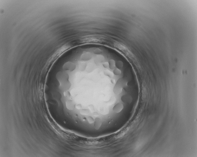 X0000060771233200511241745