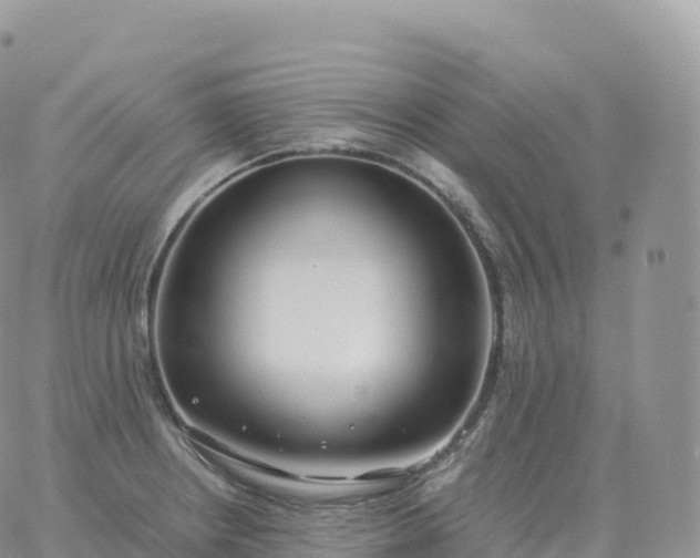 X0000060771234200511241745