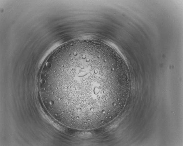 X0000060771235200511241745