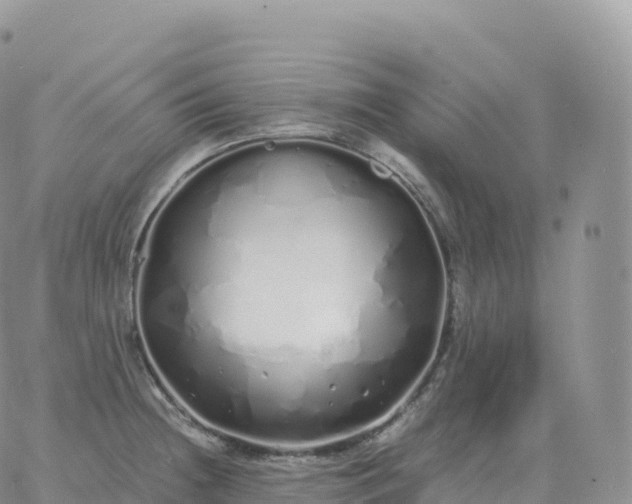 X0000060771236200511241745