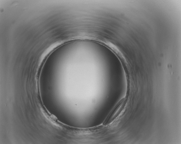 X0000060771238200511241745