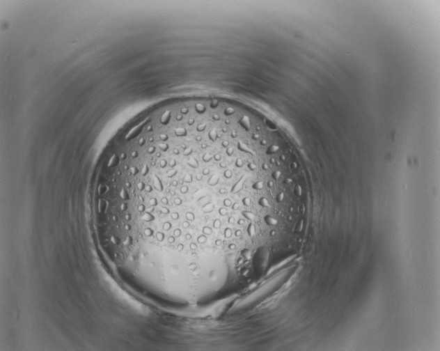 X0000060771239200511241745