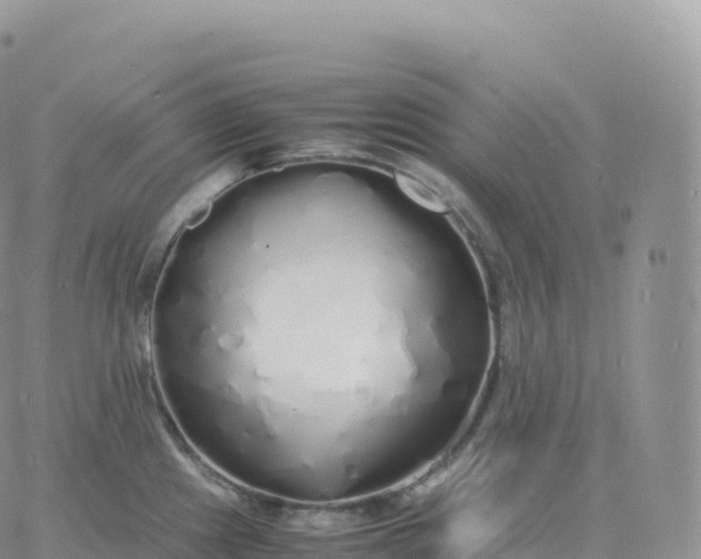 X0000060771241200511241746