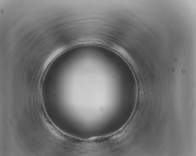 X0000060771242200511241746