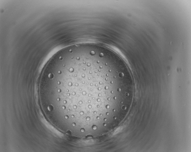 X0000060771243200511241746