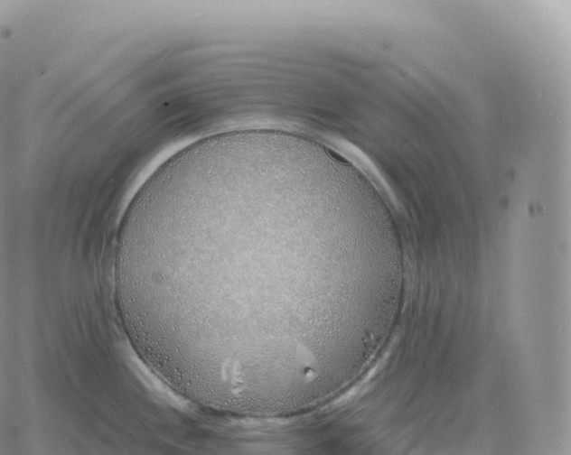 X0000060771244200511241746