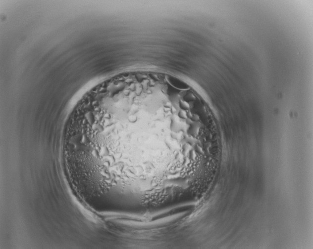 X0000060771245200511241746