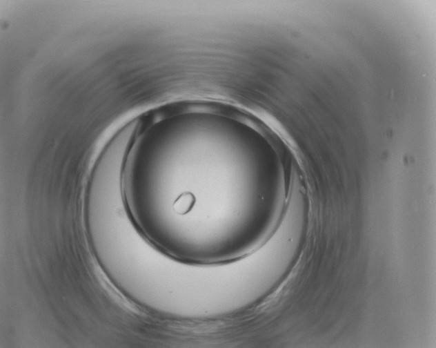 X0000060771246200511241746