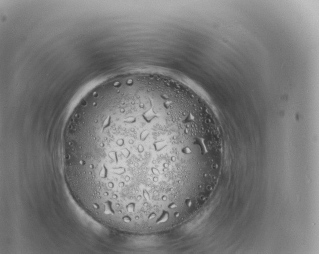 X0000060771247200511241746