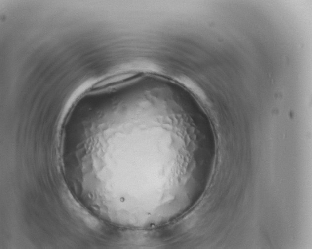 X0000060771248200511241746