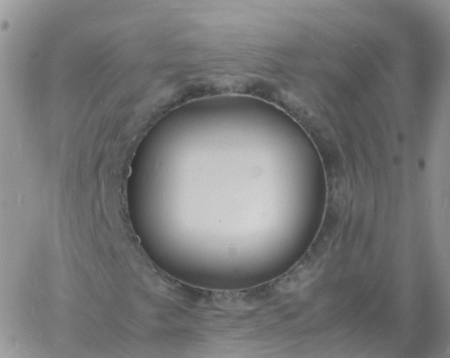 X0000060771249200511241745