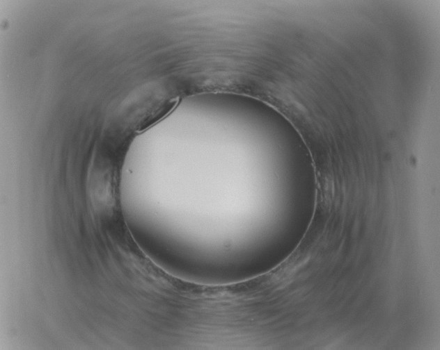 X0000060771250200511241745