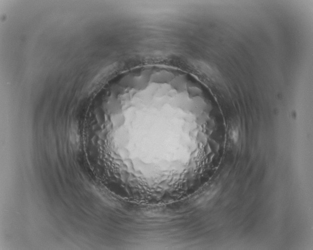 X0000060771252200511241745