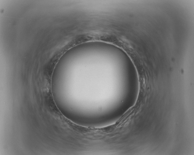 X0000060771253200511241745