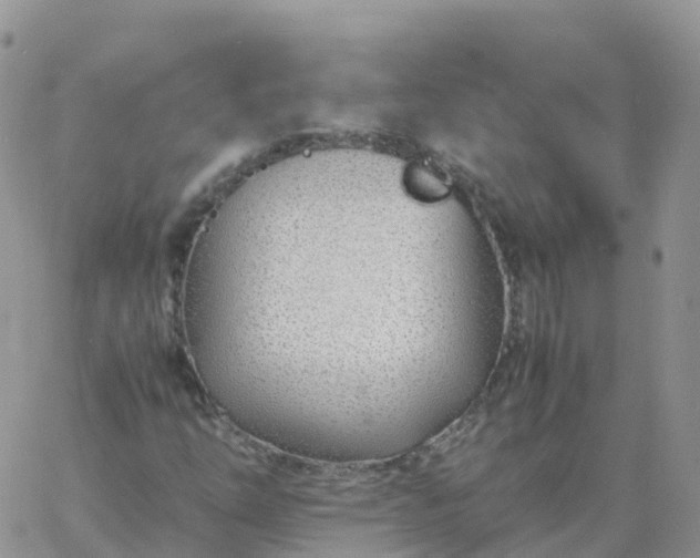 X0000060771254200511241745