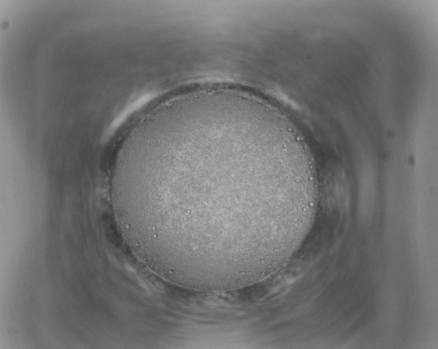 X0000060771255200511241745