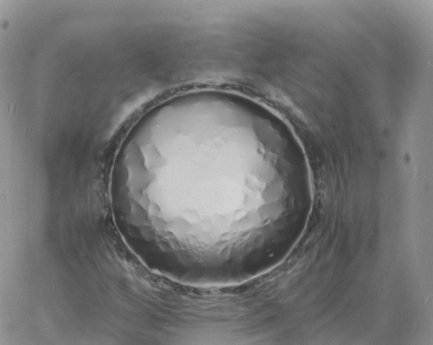 X0000060771256200511241745