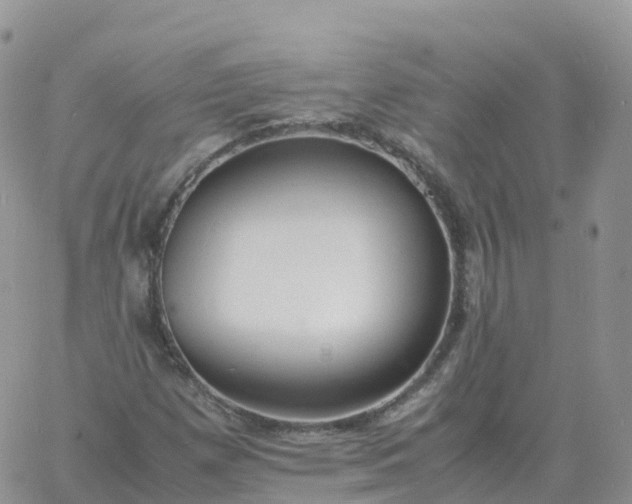 X0000060771257200511241745