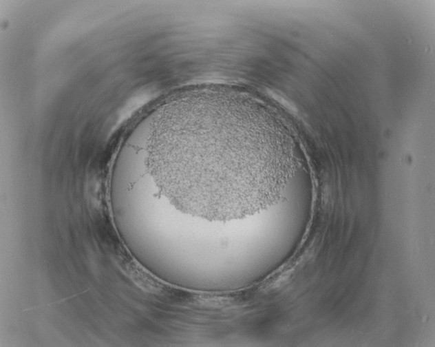 X0000060771258200511241745