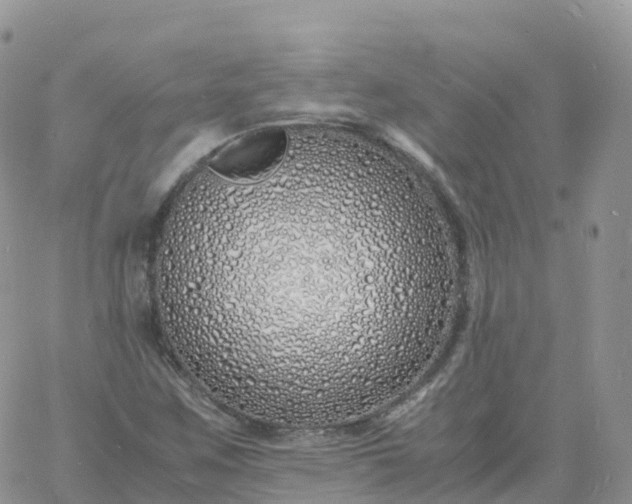 X0000060771259200511241745