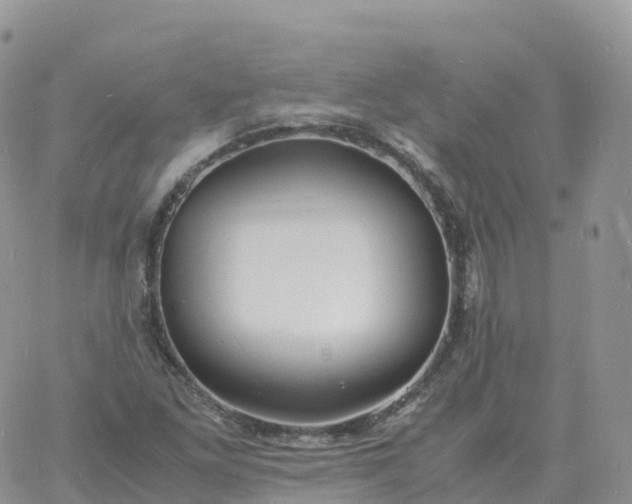 X0000060771261200511241745