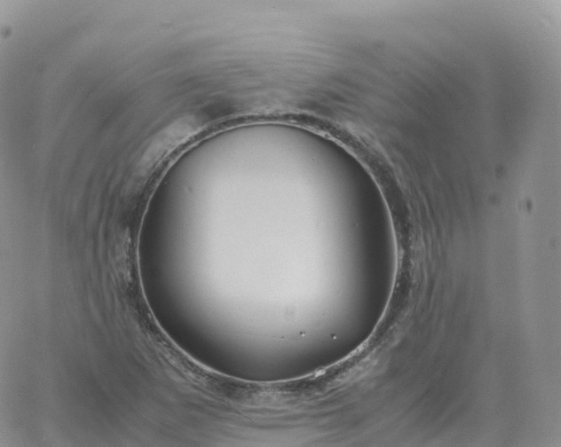 X0000060771265200511241745