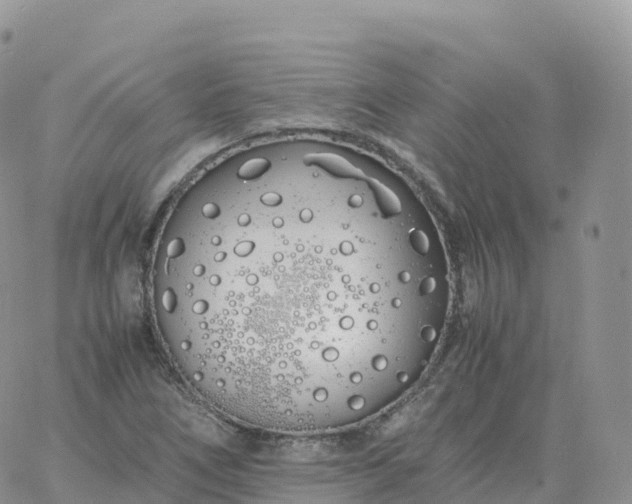 X0000060771266200511241745