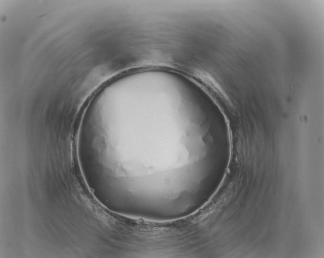 X0000060771268200511241745