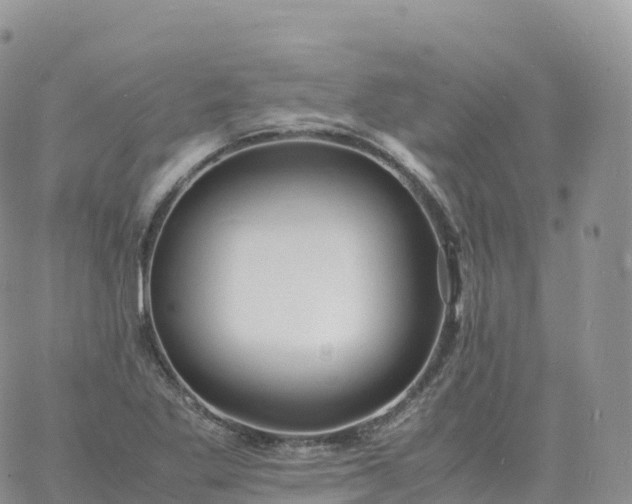 X0000060771269200511241745