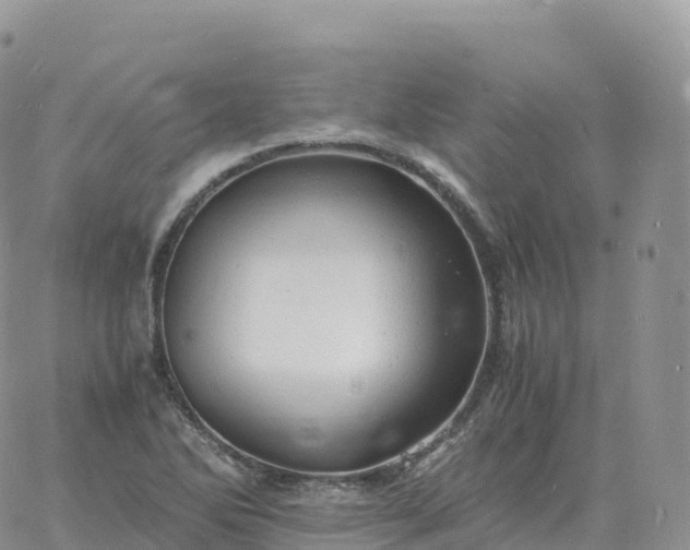 X0000060771270200511241744