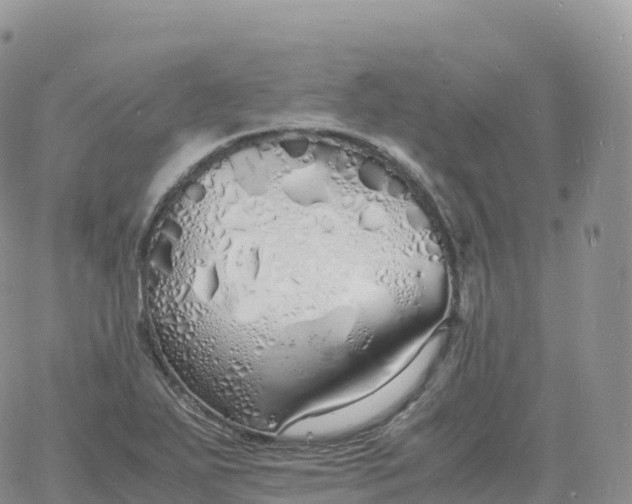 X0000060771271200511241744