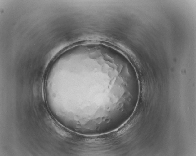 X0000060771272200511241744