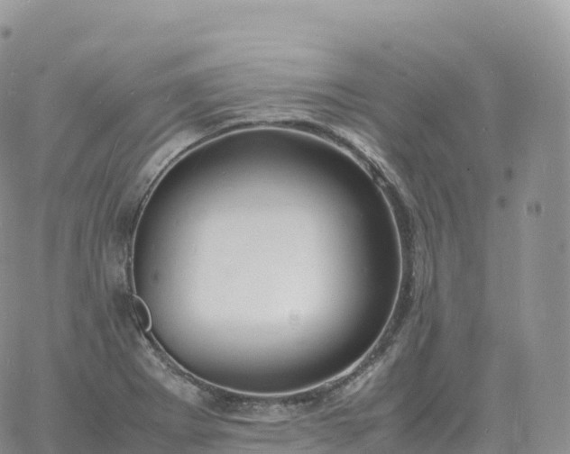 X0000060771273200511241744