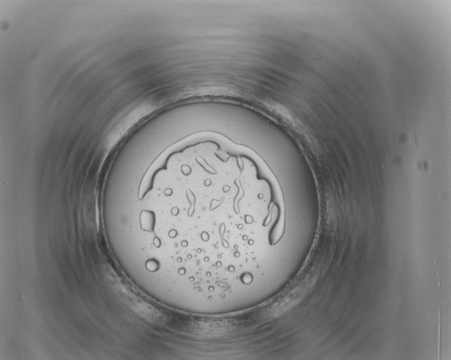 X0000060771274200511241744