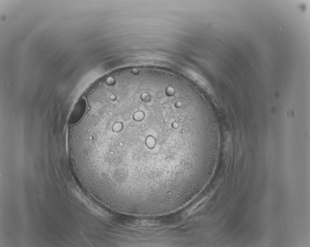 X0000060771275200511241744