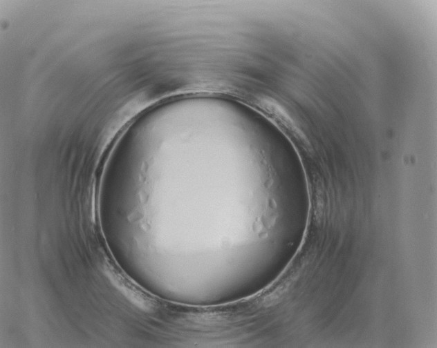 X0000060771276200511241744