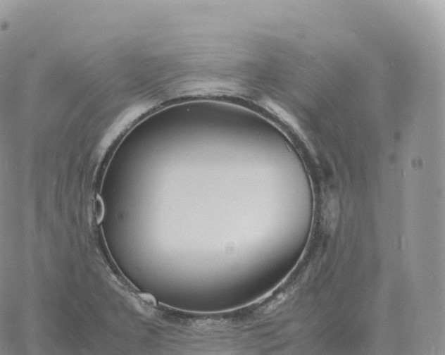 X0000060771277200511241744