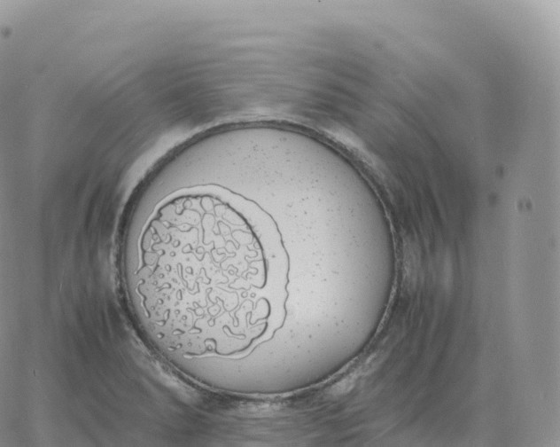 X0000060771278200511241744