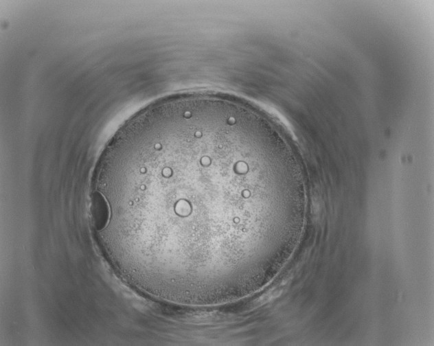 X0000060771279200511241744