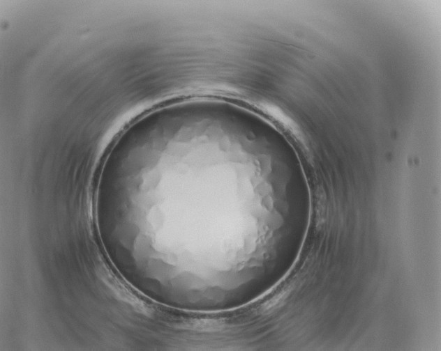 X0000060771280200511241744