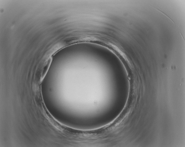 X0000060771281200511241744