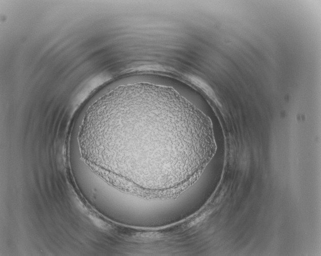 X0000060771282200511241744