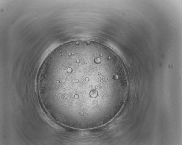 X0000060771283200511241744