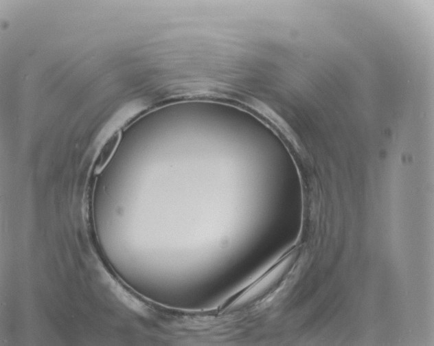 X0000060771285200511241744