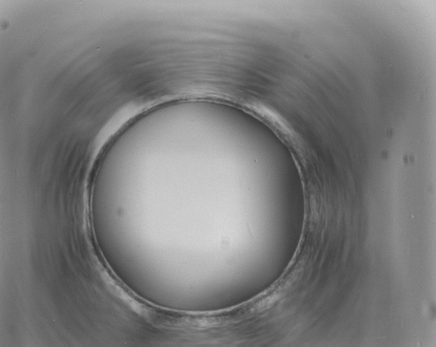 X0000060771286200511241744