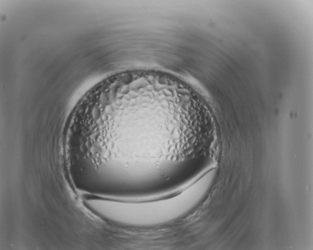 X0000060771287200511241744