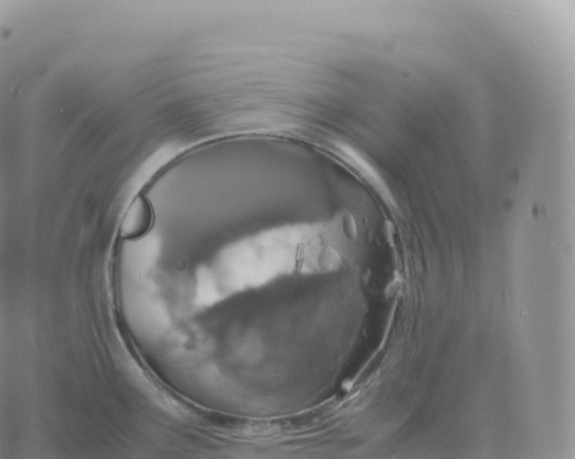 X0000060771291200511241744