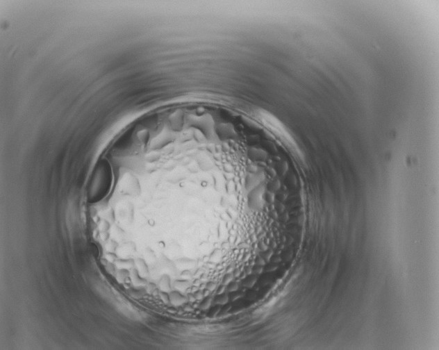 X0000060771292200511241744